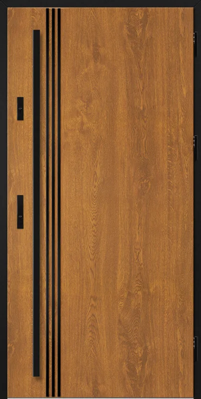 Drzwi ALTA 1