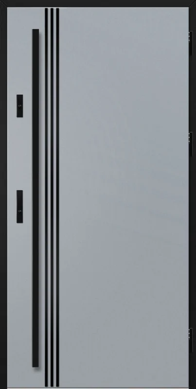 Drzwi ALTA 1