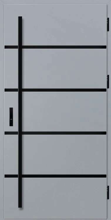 Drzwi BIENE 1