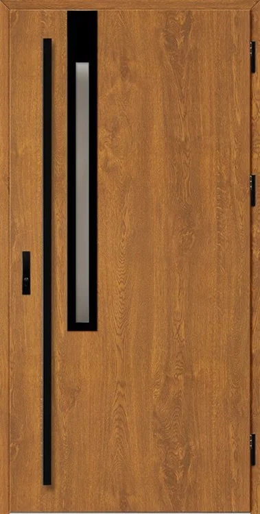 Drzwi FRYBURG 3
