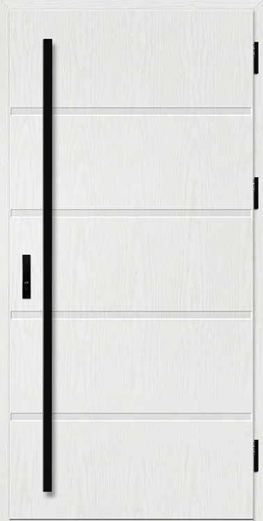 Drzwi LUTTER 1