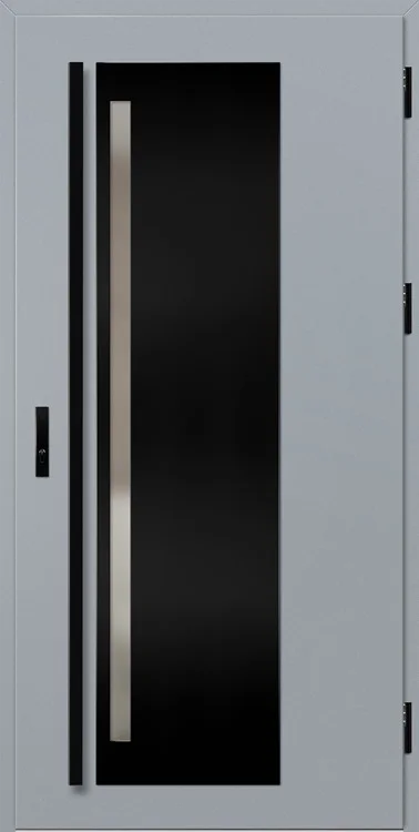 Drzwi LINDEN 1