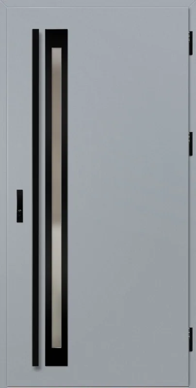 Drzwi TREBUR 1