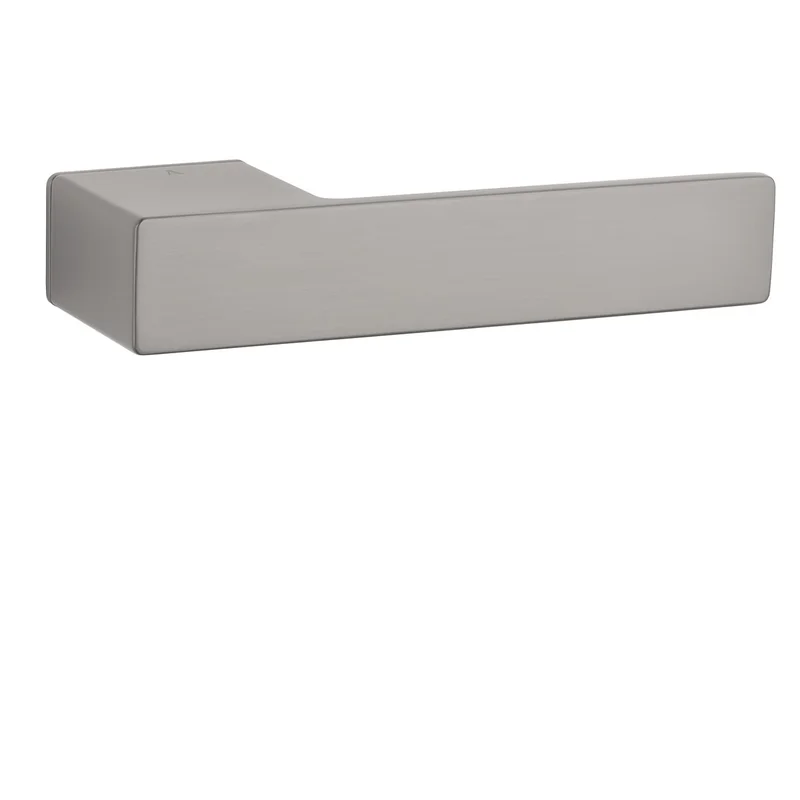 ASG - LUDISIA - RT