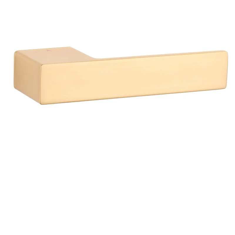 ASG - LUDISIA - RT